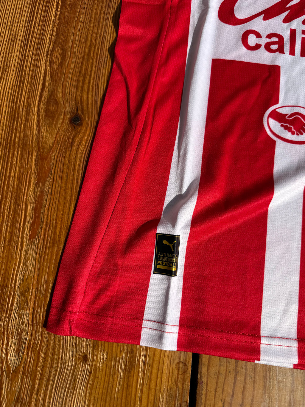 Jersey Chivas 2025/2026 Local